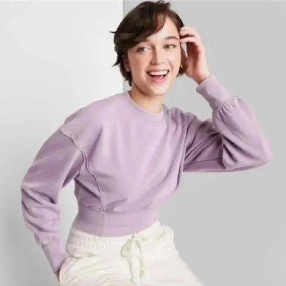 Wild Fable Cropped Crewneck Pullover Sweatshirt Berry Pink - Picture 1 of 11